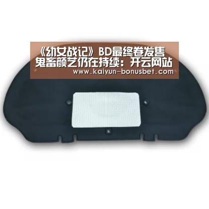 《幼女战记》BD最终卷发售 鬼畜颜艺仍在持续:开云网站(图1) 开云赛事