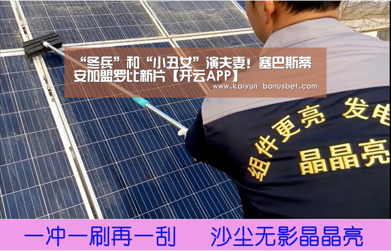 “冬兵”和“小丑女”演夫妻!塞巴斯蒂安加盟罗比新片【开云APP】(图1) 开云网站
