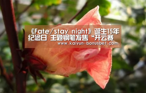 《Fate/stay night》诞生15年纪念日 主题钢笔发售“开云赛事”(图1) 开云数据