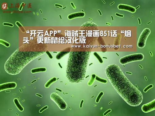 开云赛事