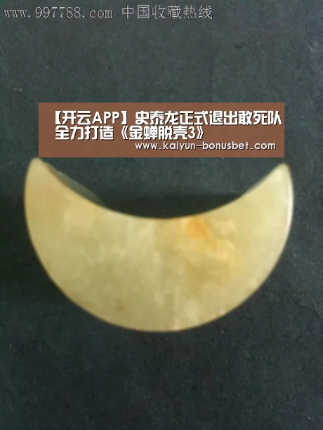 【开云APP】史泰龙正式退出敢死队 全力打造《金蝉脱壳3》(图2) 开云赛事