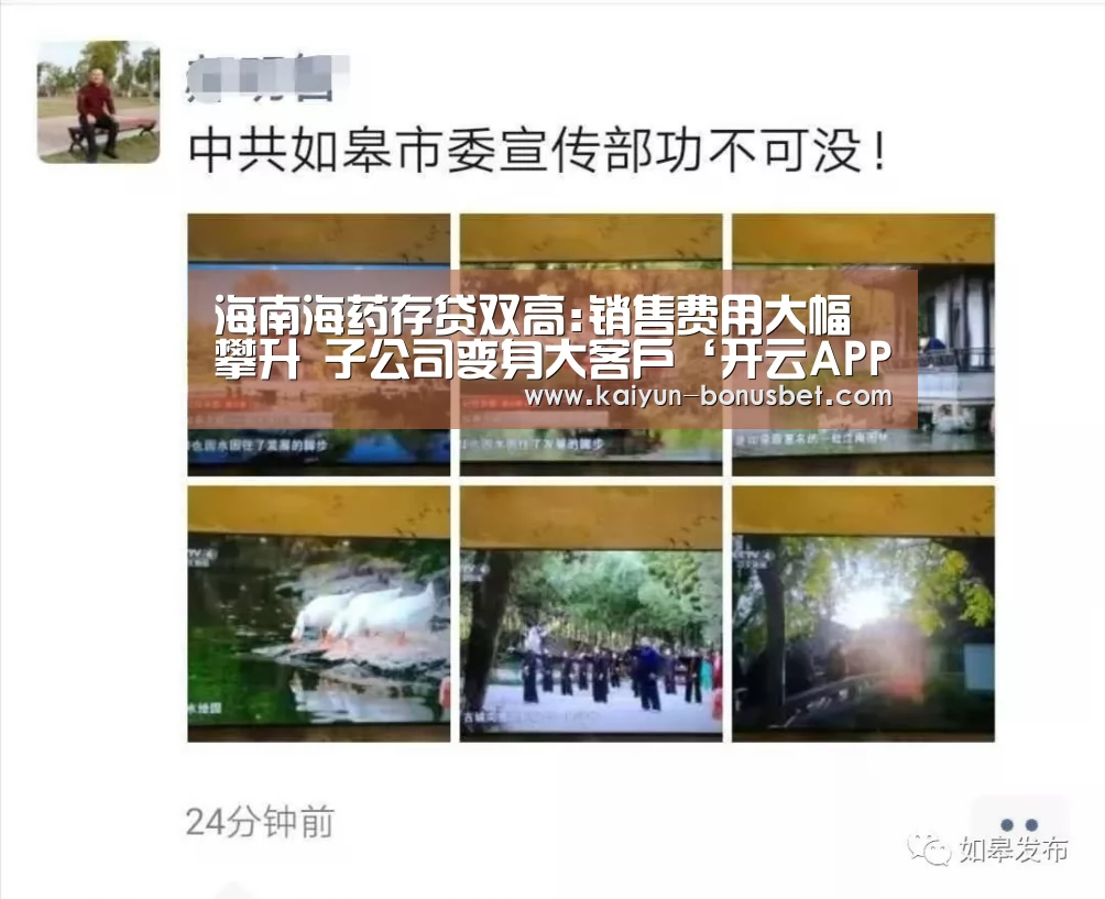 海南海药存贷双高:销售费用大幅攀升 子公司变身大客户‘开云APP’(图4) 开云网站