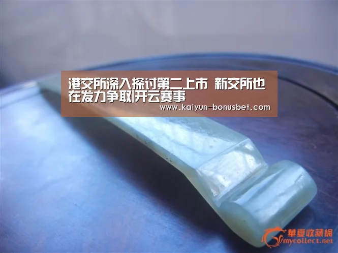 港交所深入探讨第二上市 新交所也在发力争取|开云赛事(图2) 开云赛事