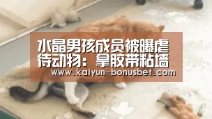 水晶男孩成员被曝虐待动物:拿胶带粘墙上“开云数据”(图1) 开云数据